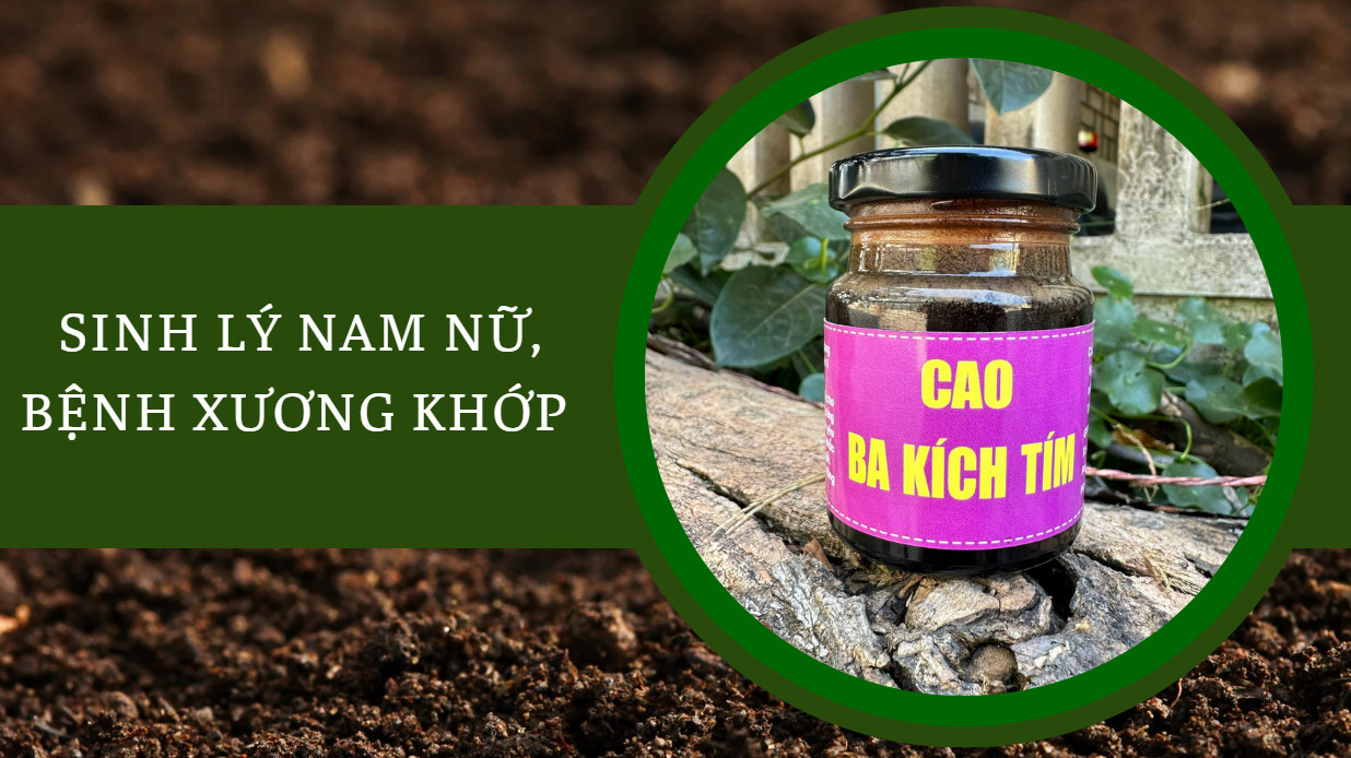 cao ba kích sinh lý nam nữ